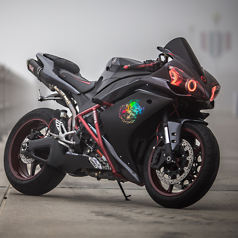 Leuke Hond Hoofd Creatieve Aut - Motorcycle Gear Dogs recensie en prijs