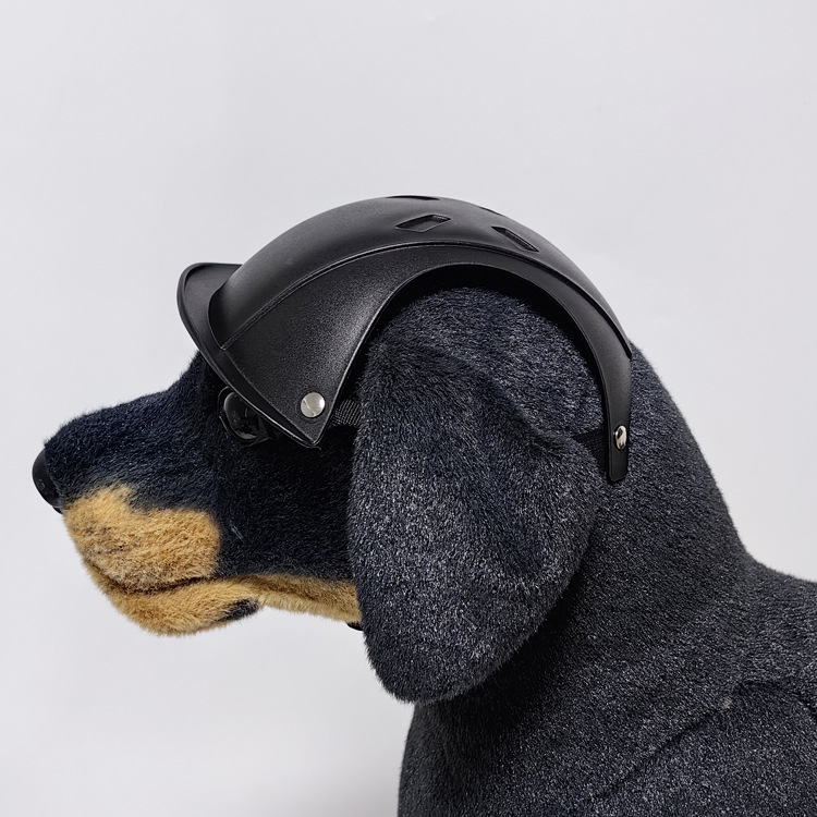 Veiligheidshelm voor huisdiere - Motorcycle Gear Dogs recensie en prijs