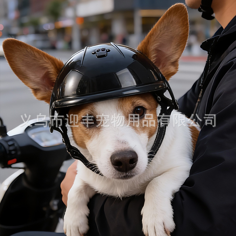 Roze motorhelm voor huisdieren - Motorcycle Gear Dogs recensie en prijs