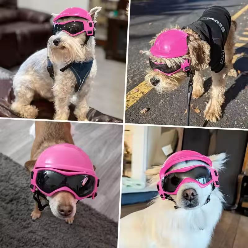 Hond motorhelm brilset, outdoo - Motorcycle Gear Dogs recensie en prijs